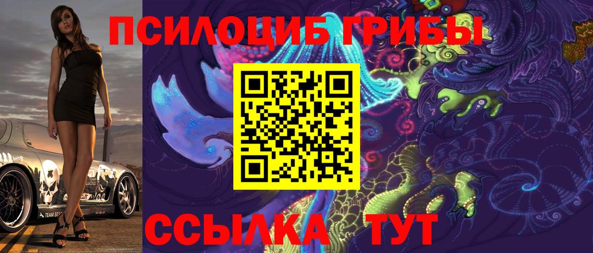Курчалой  Галлюциногенные грибы мухоморы  Вход с VPN 